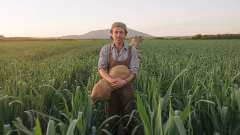 Comment l’agriculture régénératrice s’impose comme une solution-clé face à la crise climatique